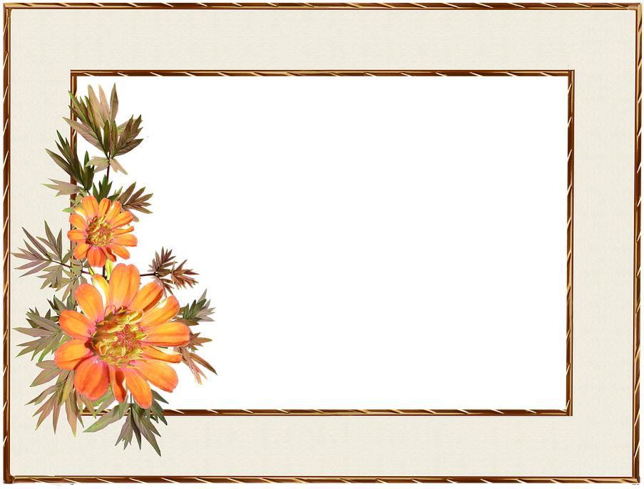 Floral Decorative Border Frame