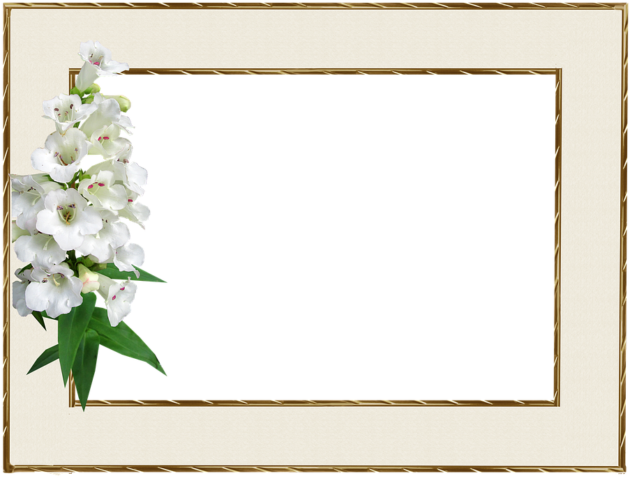 Floral Embellished Gold Frame