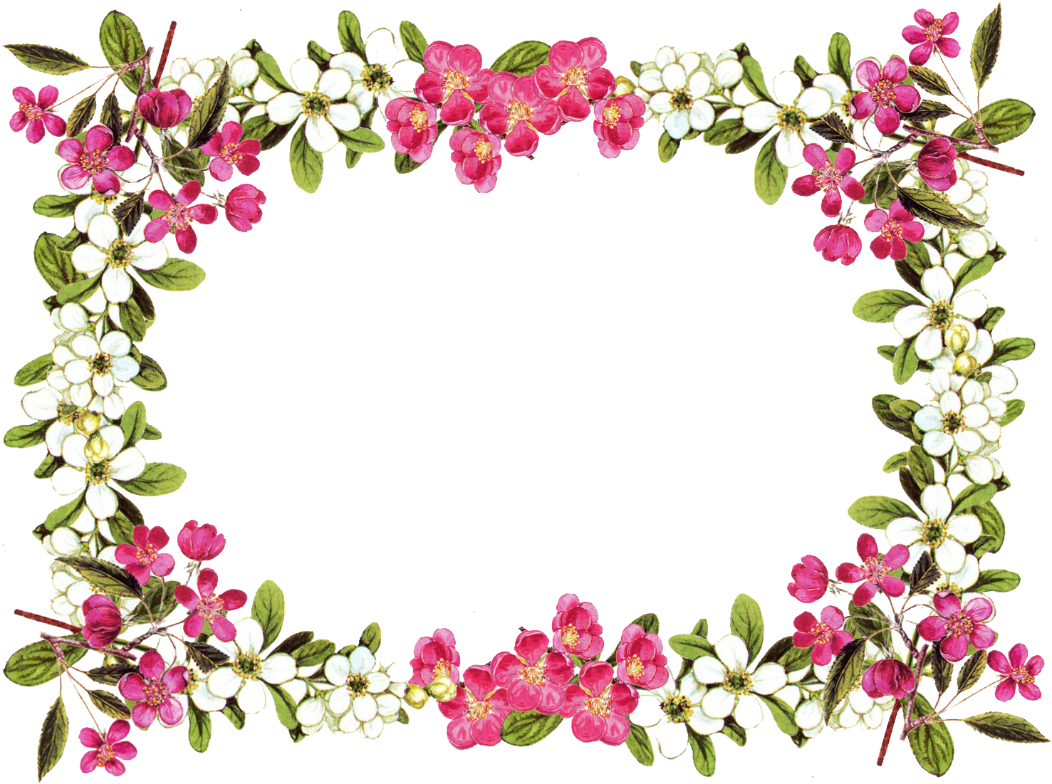 Floral Frame Border Design