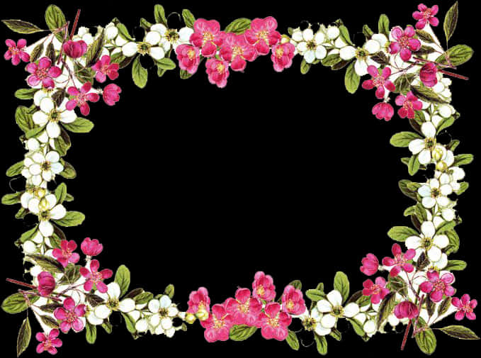 Floral_ Frame_ Border_ Design PNG image with a transparent background, free high-resolution download