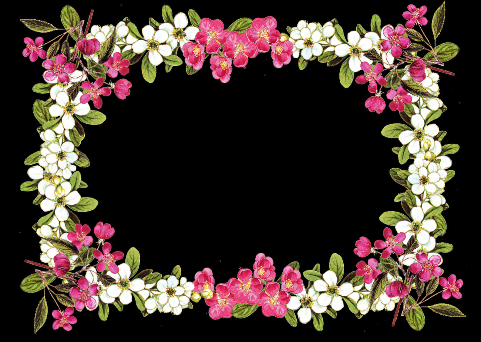 Floral_ Frame_on_ Black_ Background PNG image with a transparent background, free high-resolution download