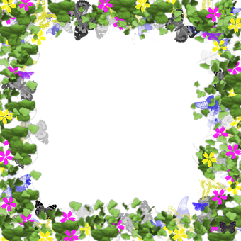 Floral_ Frame_with_ Butterflies PNG with transparent background