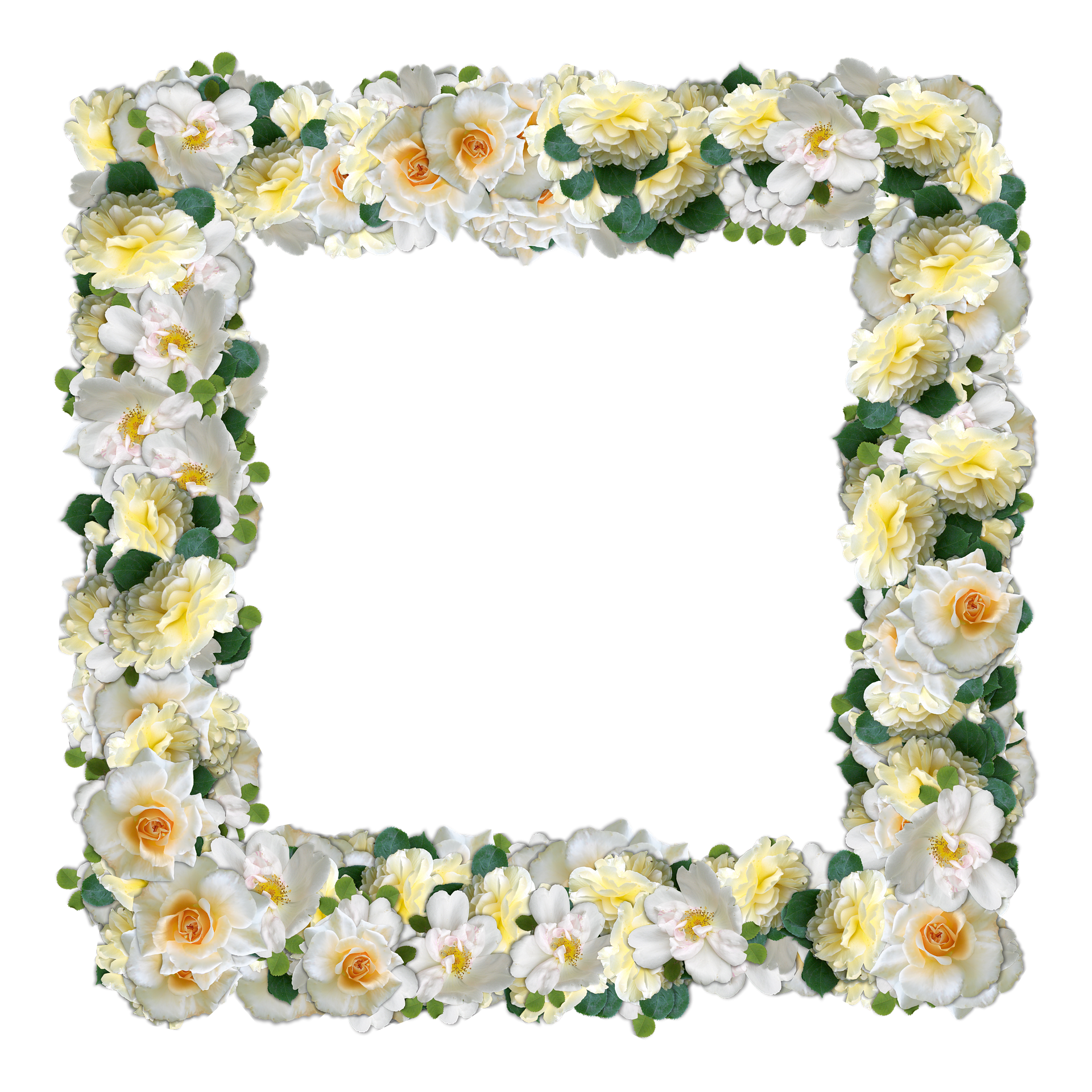 Floral_ Frame_with_ Yellow_ Roses PNG with transparent background