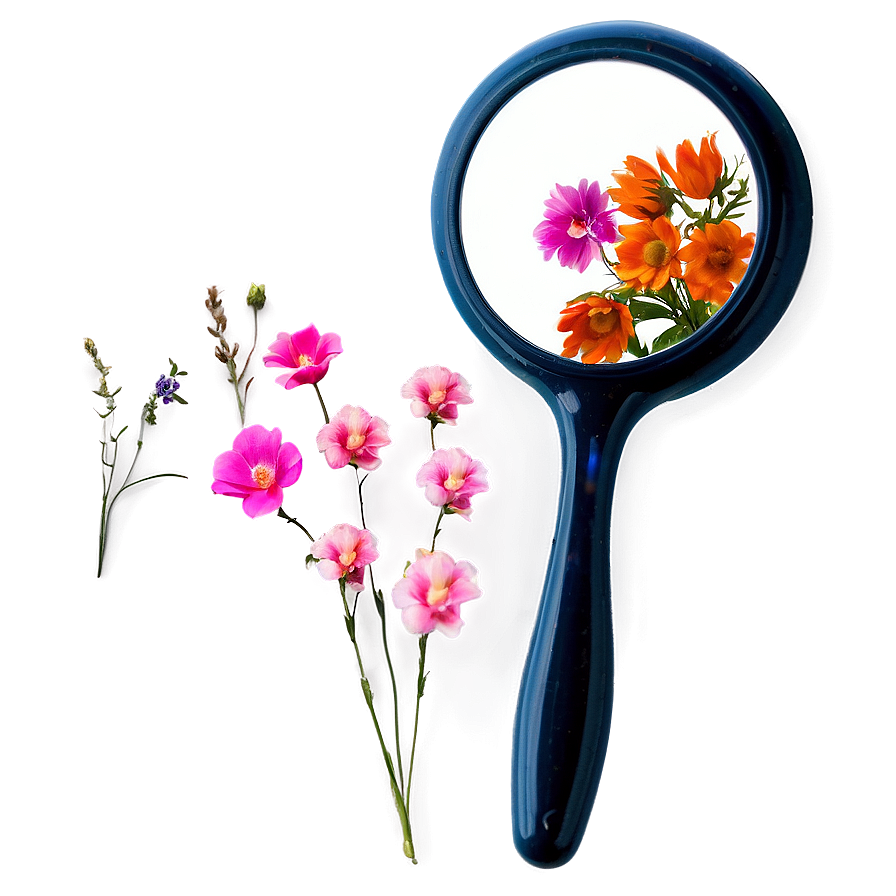 Floral Hand Mirror Png 06212024