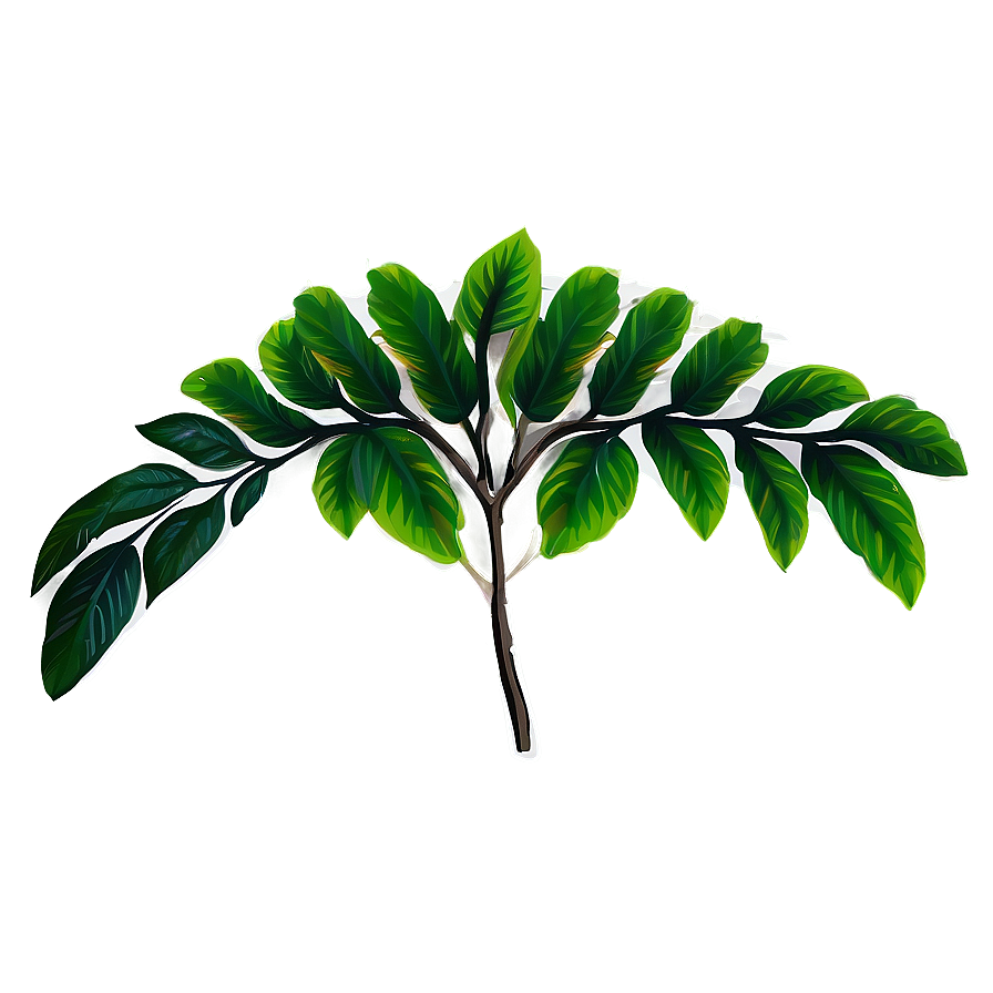 Floral Leaves PNG rac23 PNG with transparent background