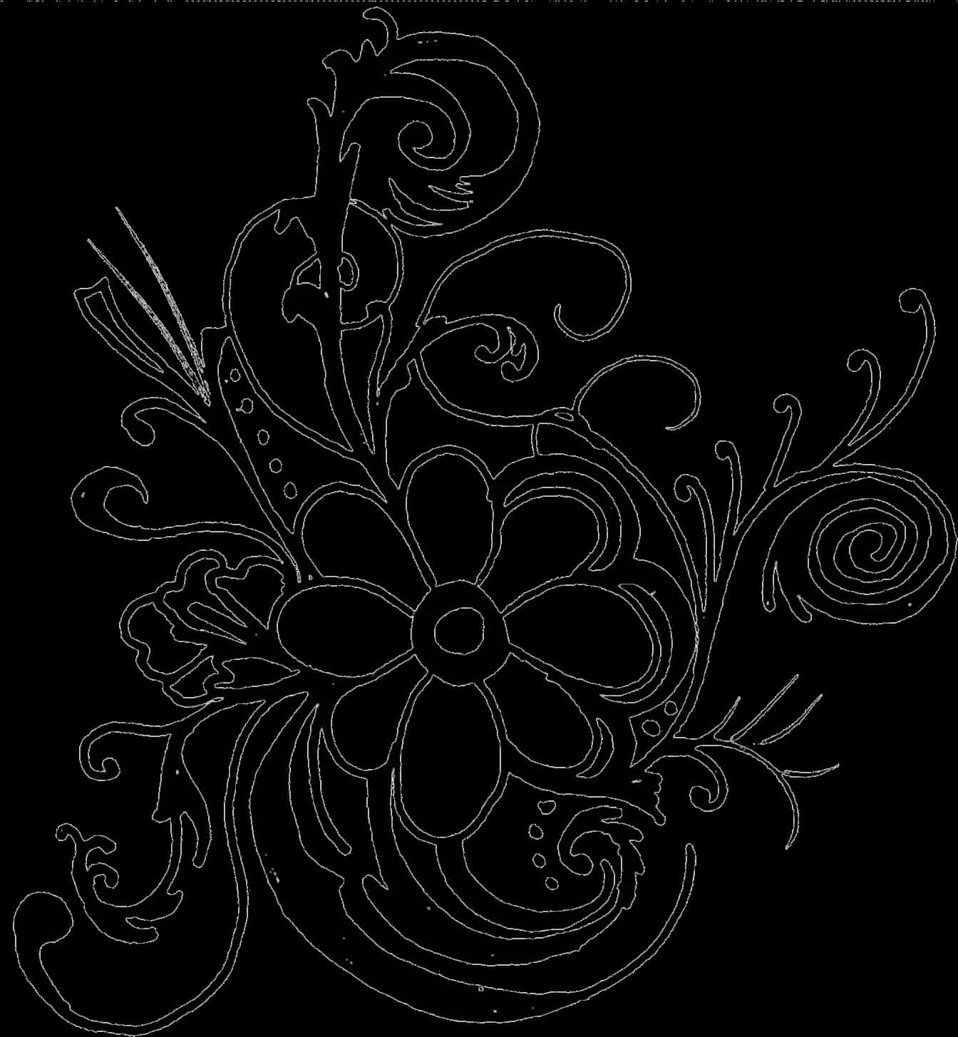 Black And White Flower Border Clipart - Floral Border Designs Clip Art Black N White, HD Png Download PNG image with a transparent background, free high-resolution download