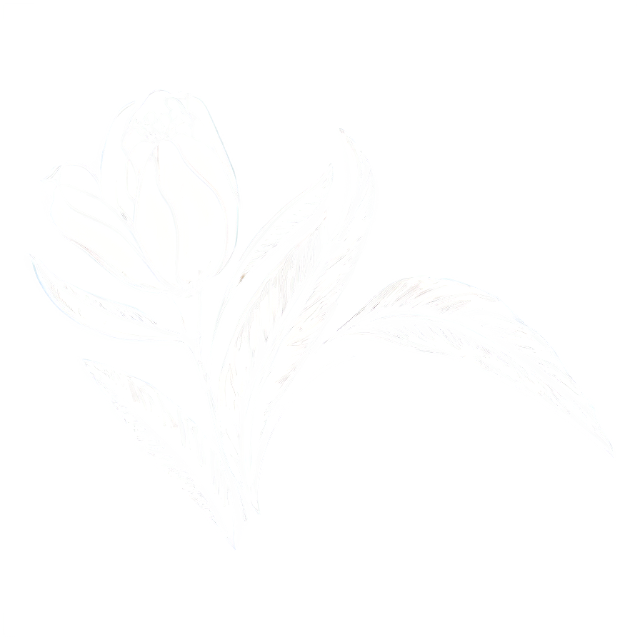 Floral Outline Sketch Png Wrv