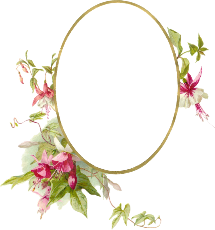 Transparent Oval Shape Png - Png Oval Shape With Flower, Png Download PNG with transparent background