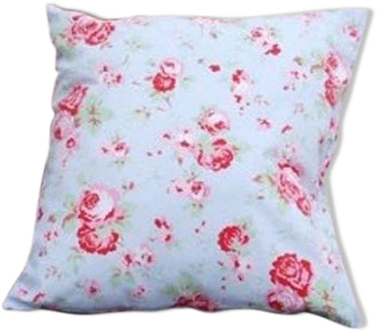 Floral Pattern Cushion.png