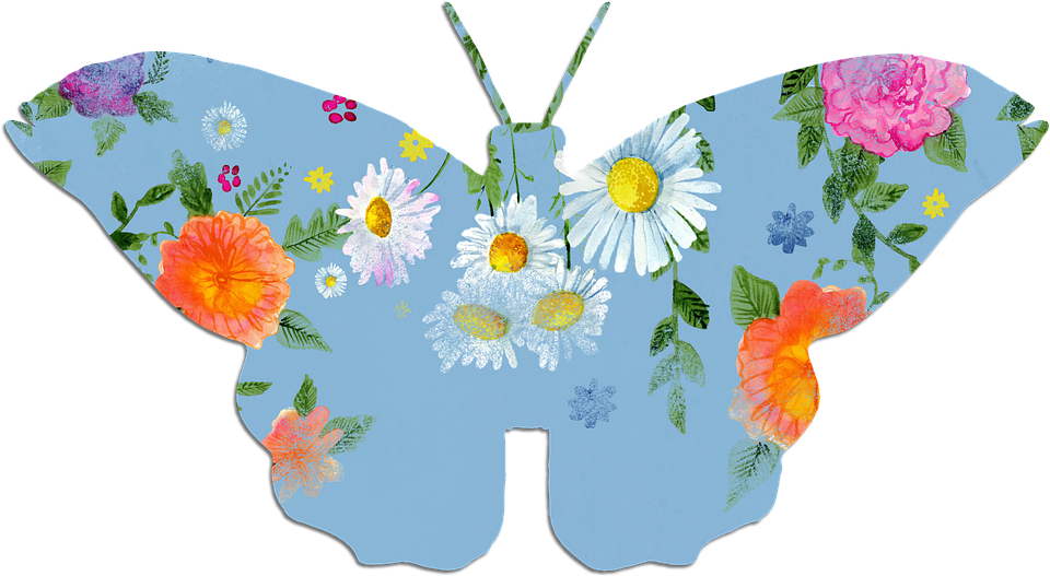 Floral Patterned Butterfly Illustration