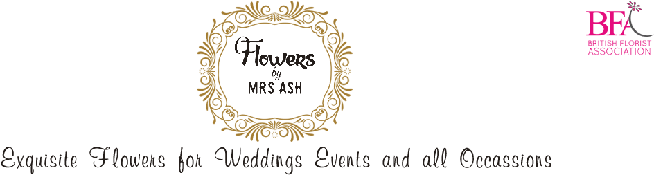 Calligraphy, HD Png Download PNG with transparent background