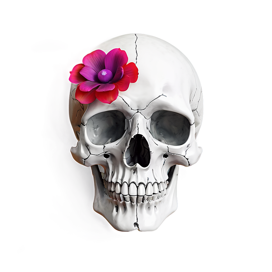 Floral Skull Decoration Png A