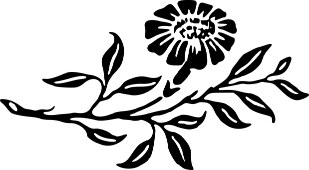 Floral Subjectin Darkness.jpg PNG with transparent background