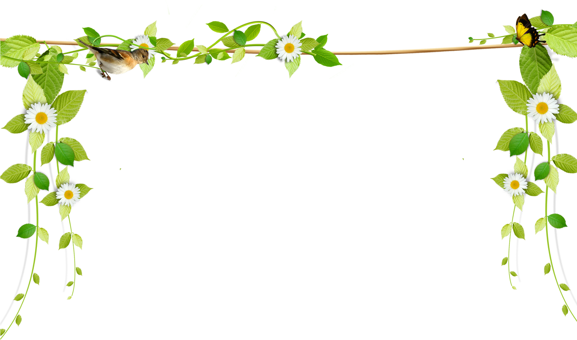 Beautiful Fresh Vines Border Rope Png Download - Transparent Background Vine Border, Png Download PNG with transparent background