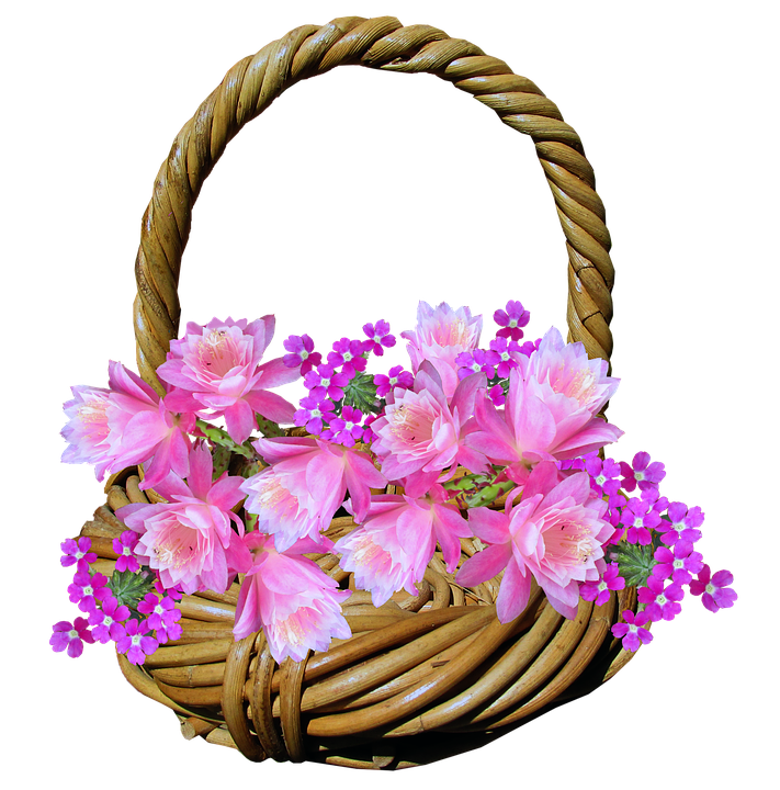 Floral Wicker Basket Fullof Pink Blooms PNG with transparent background