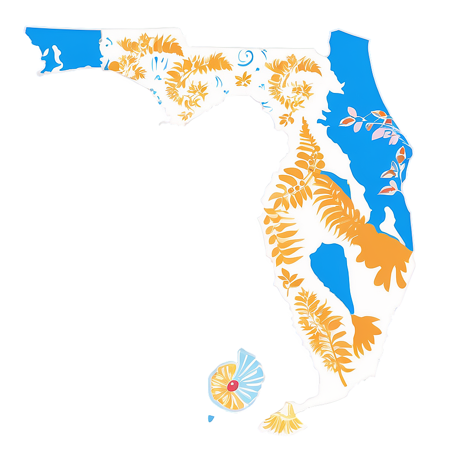 Florida Outline C