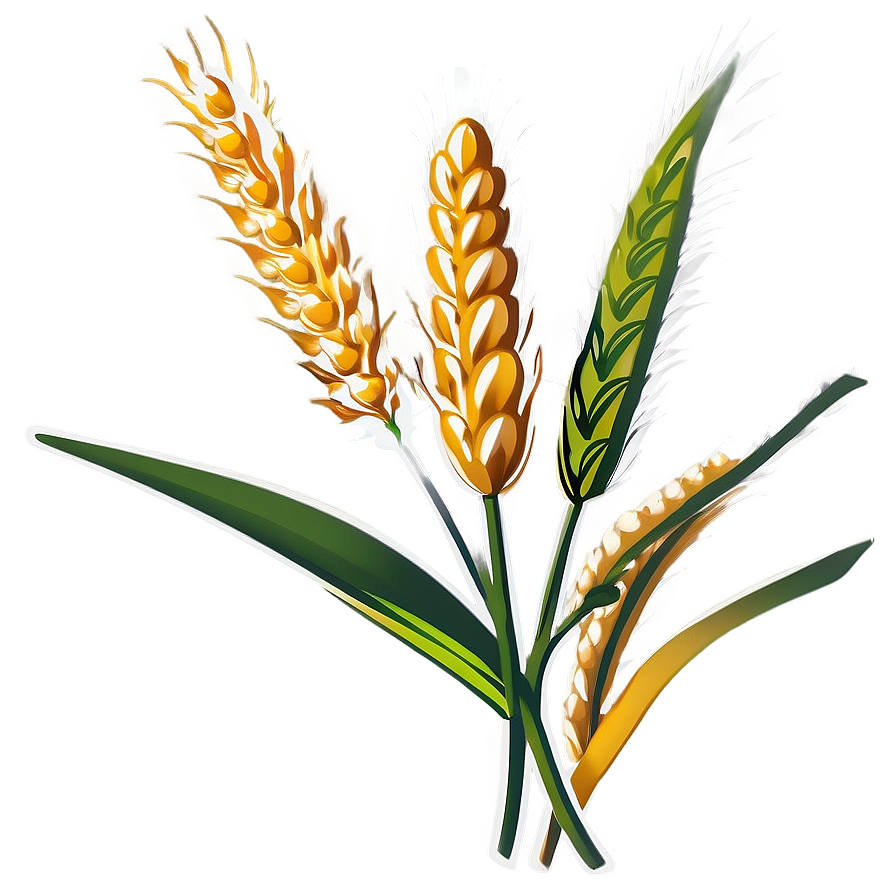 Flourishing Wheat Crop PNG fsc PNG image with a transparent background, free high-resolution download