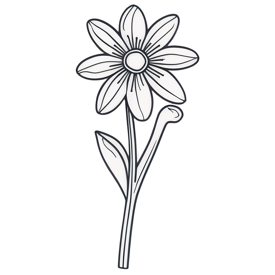 Flower Coloring Page Png Amu4