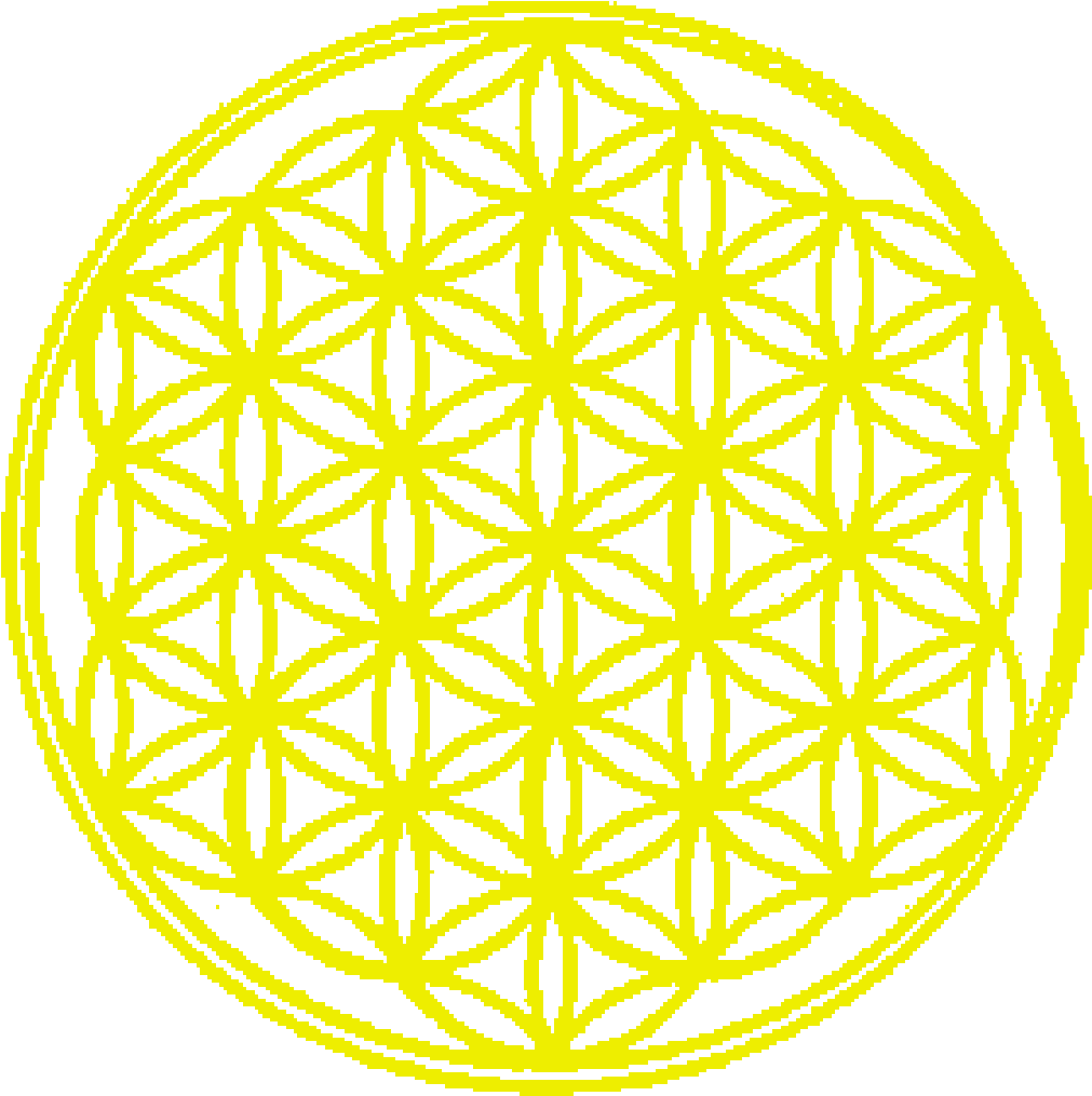Flower Of Life Sacred Geometry PNG with transparent background