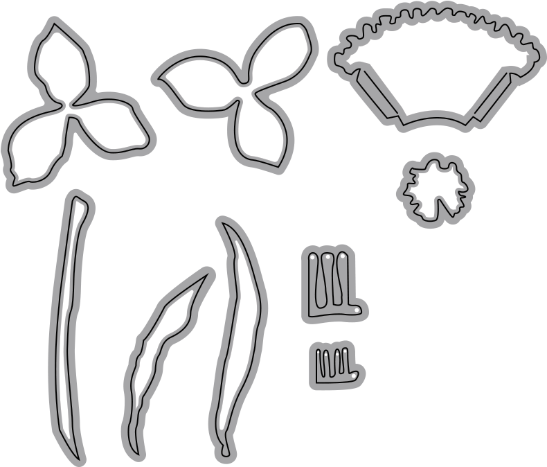 Flower_ Parts_ Outline_ Vector