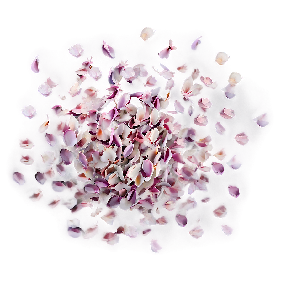 Flower Petals Scatter Png Axv40