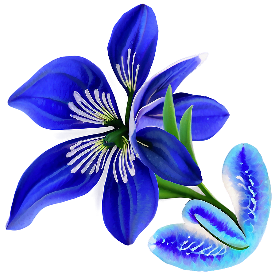 Flower Transparent Background PNG 05252024 PNG image with a transparent background, free high-resolution download