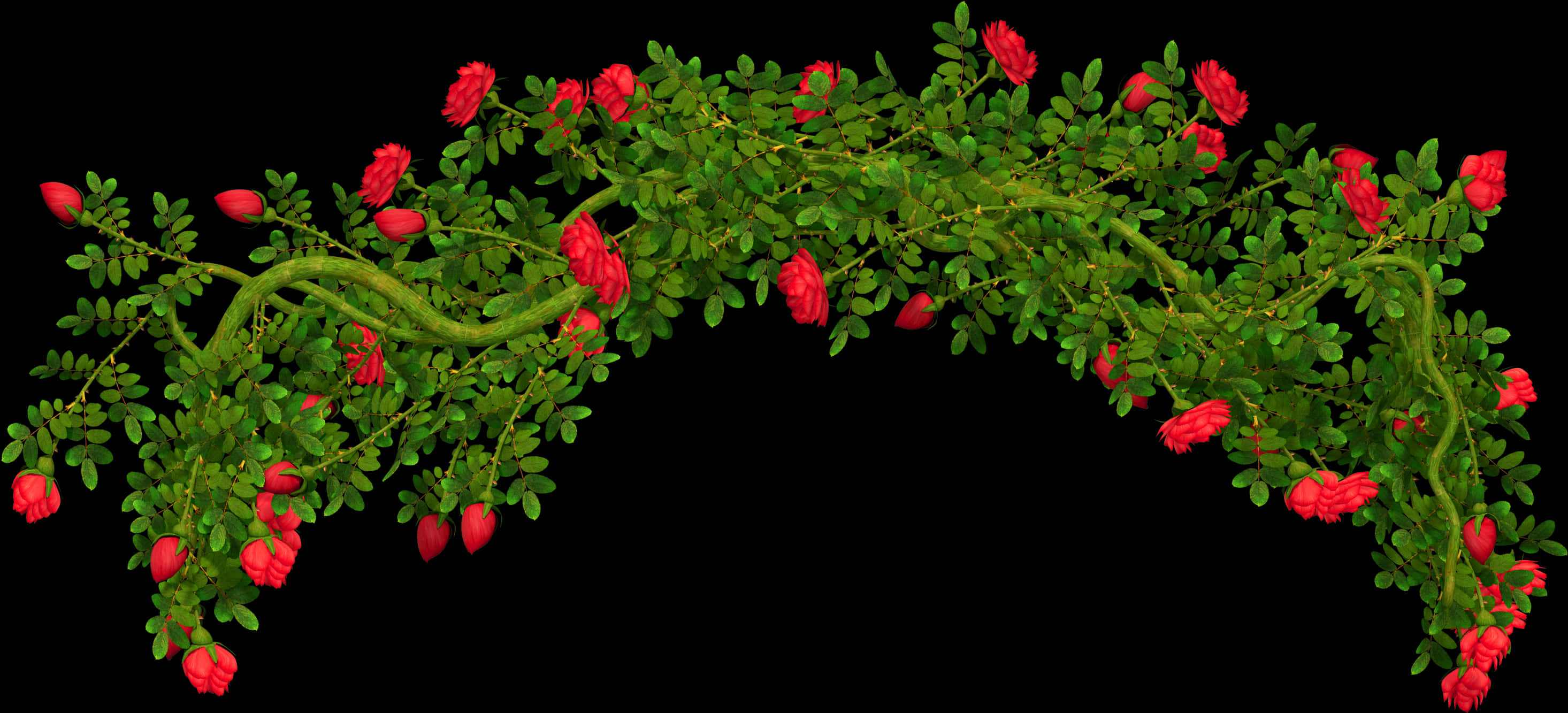 Flowering Bush Arch Isolated Background