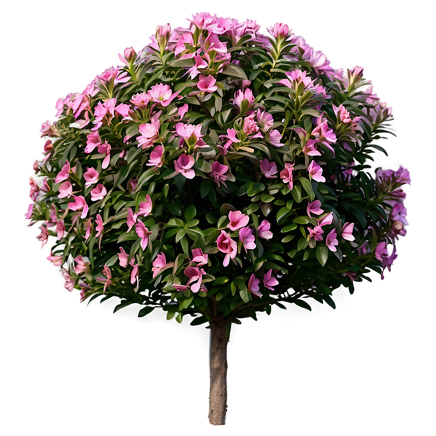 Flowering Shrub Png Fpr25