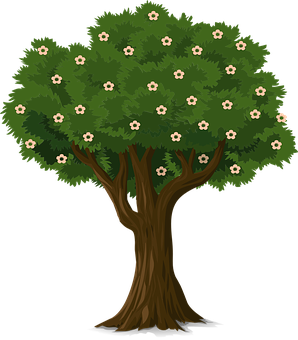 Flowering Tree Illustration