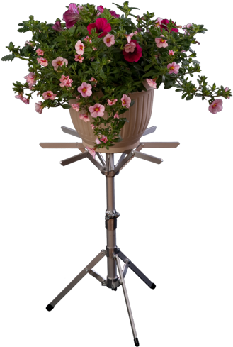 Clipart Flower Stand Png, Transparent Png PNG with transparent background