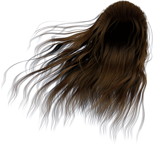Hair In The Wind Png, Transparent Png PNG with transparent background