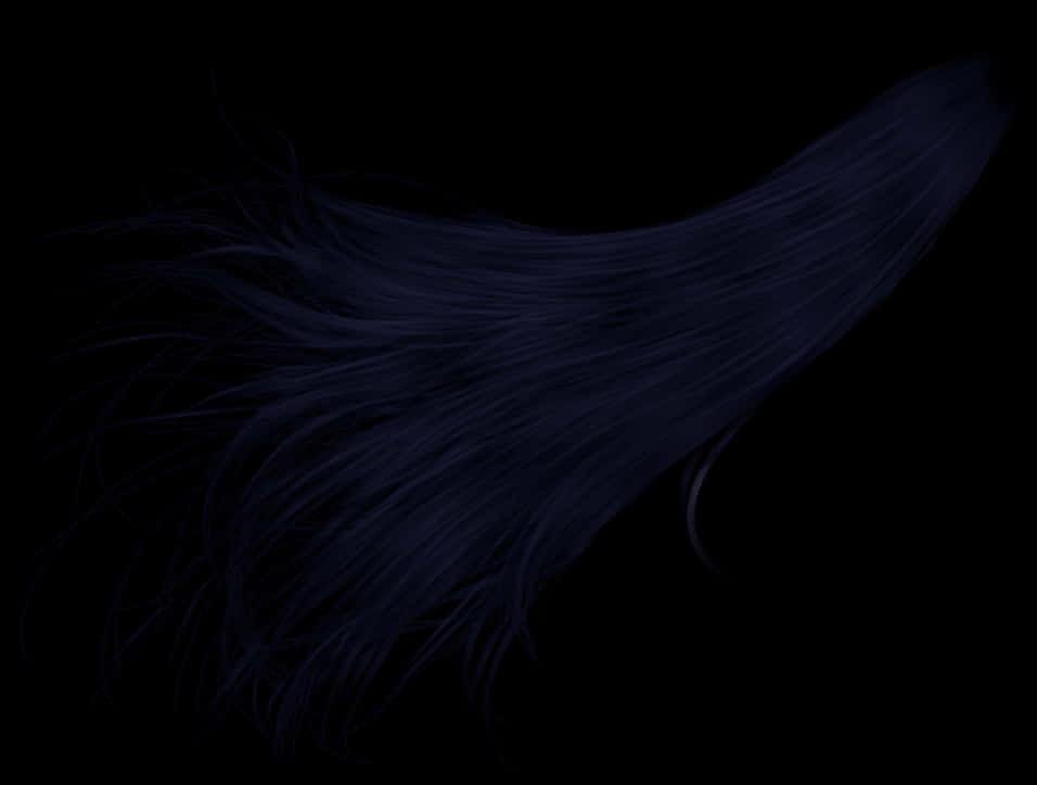 Flowing Dark Hairon Black Background