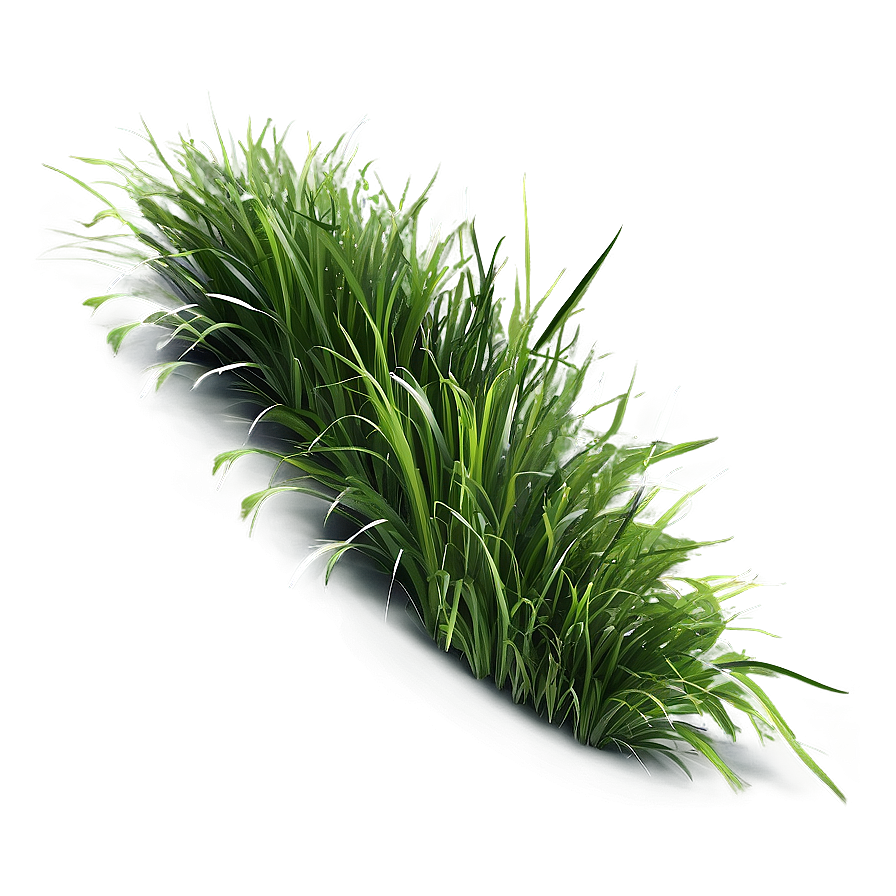 Fluffy Green Grass Png Xlk