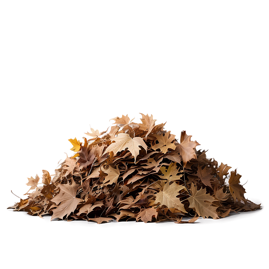 Fluffy Leaf Pile Png 06202024