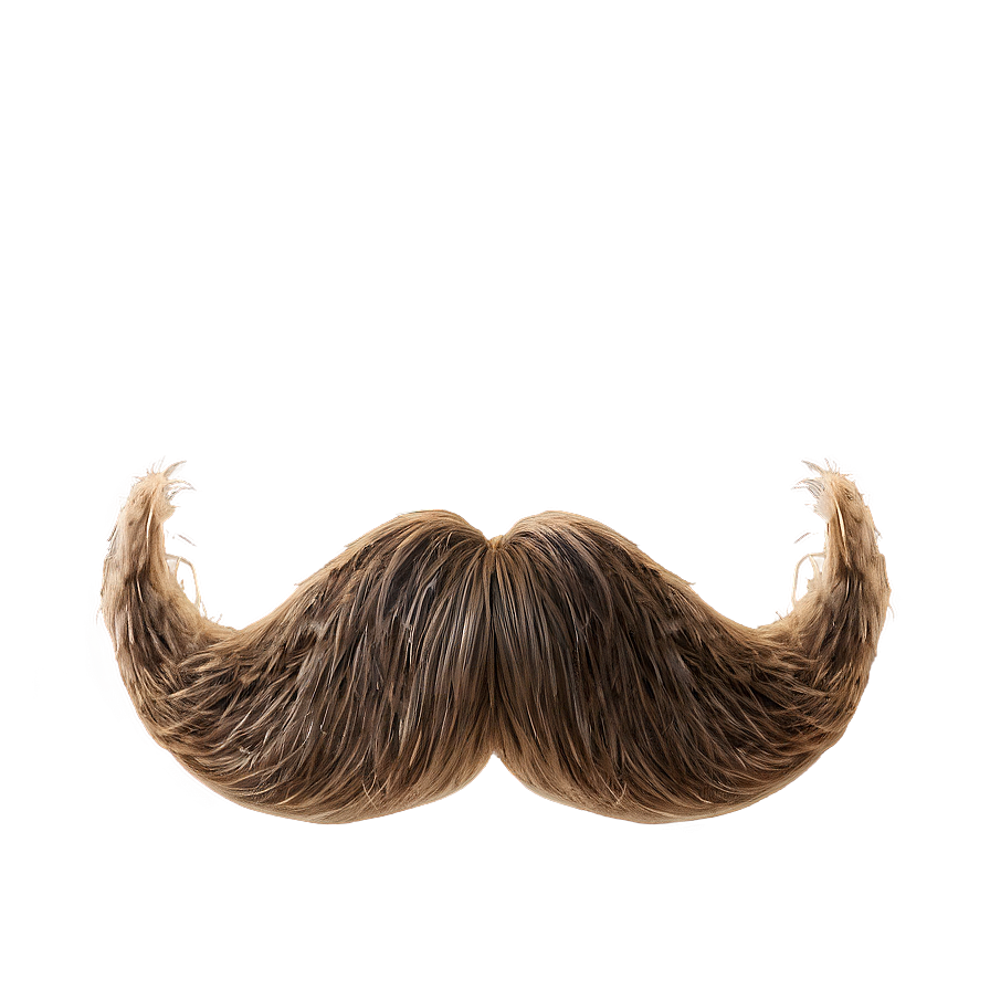 Fluffy Moustache Appearance Png 59