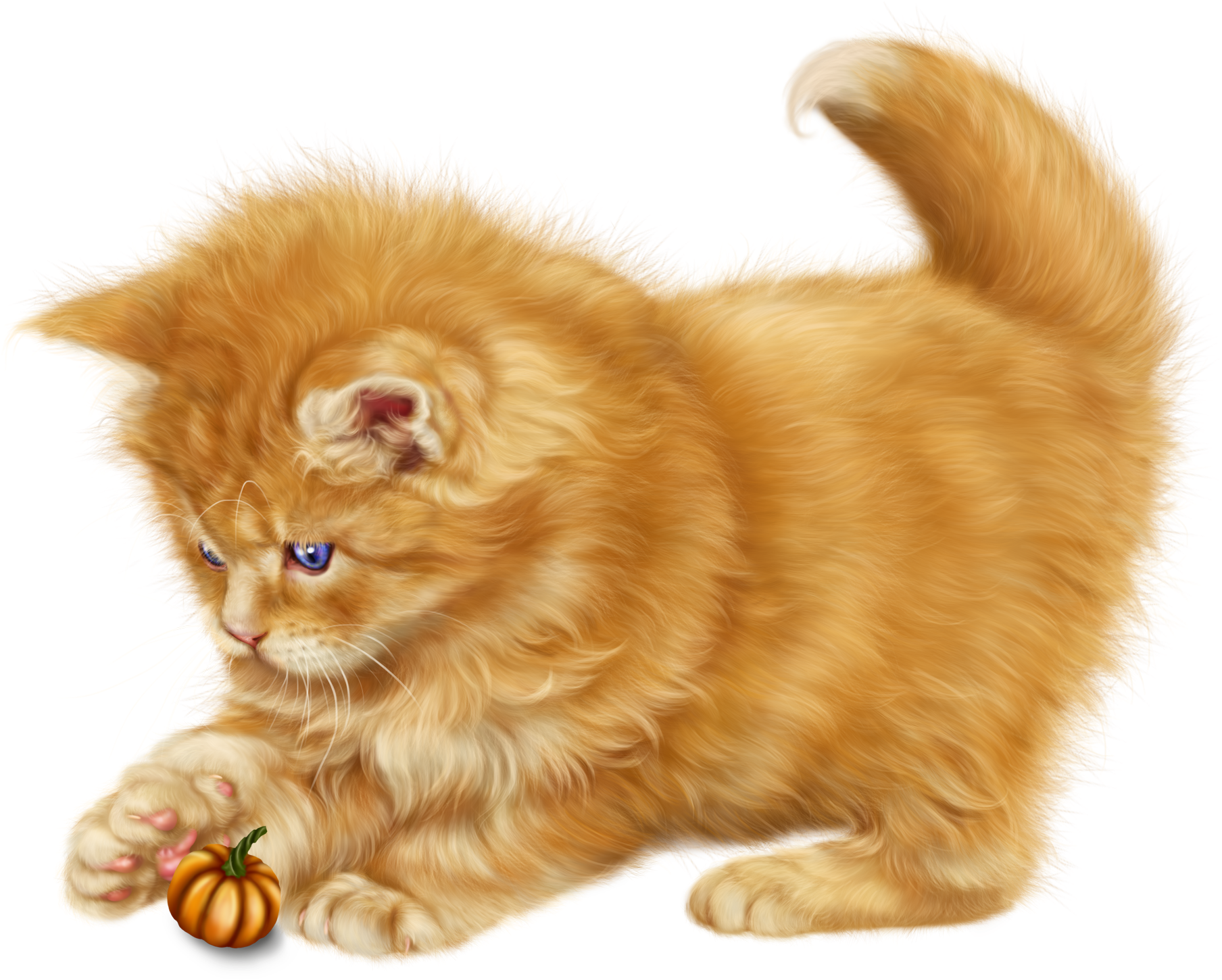 Fluffy Orange Kitten Playing