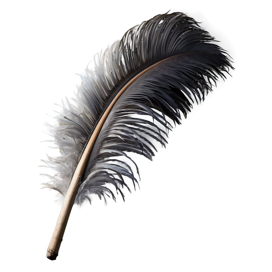 Fluffy Ostrich Feather PNG 05042024 PNG with transparent background