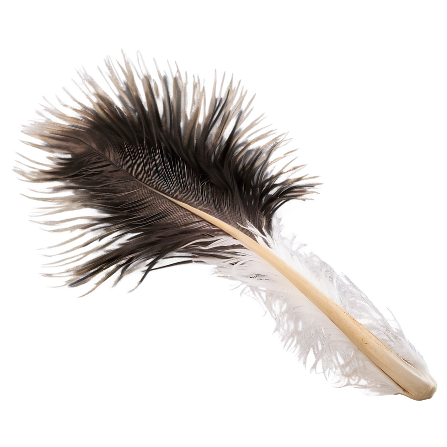 Fluffy Ostrich Feather PNG vry76 PNG with transparent background