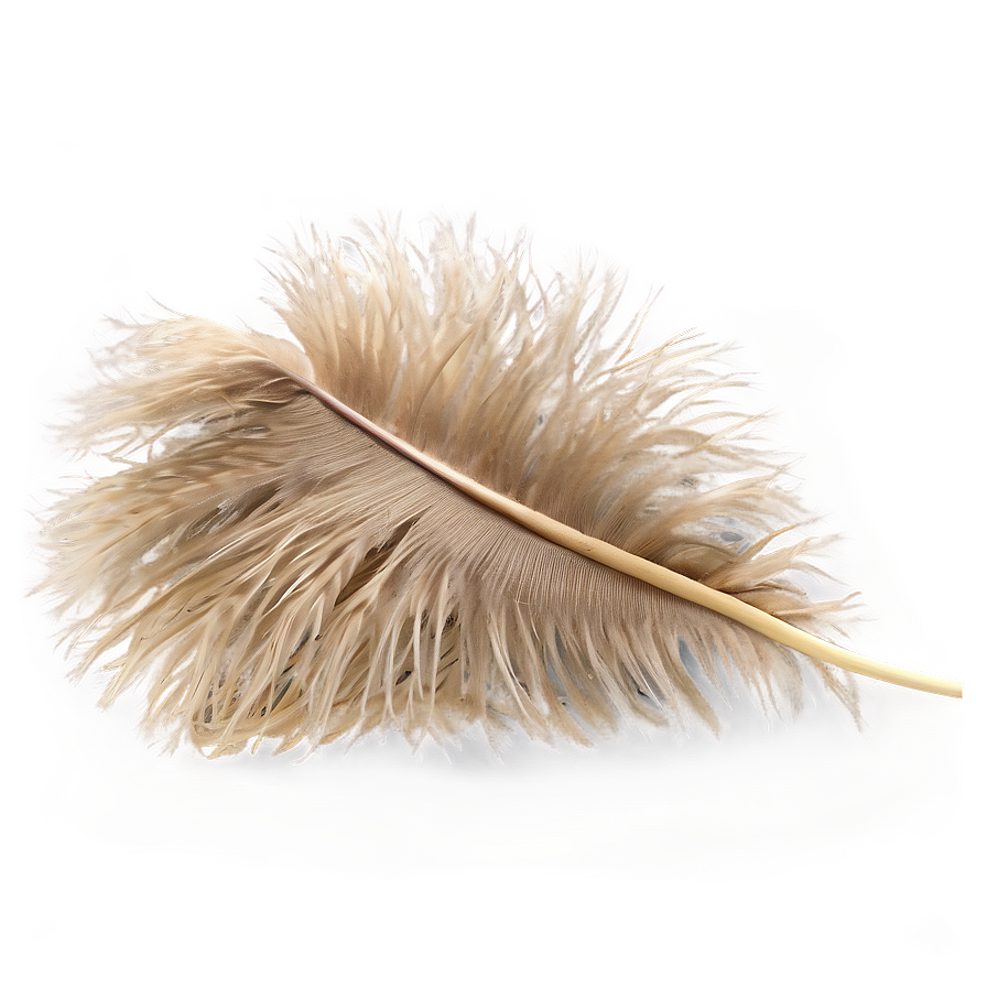 Fluffy Ostrich Feather PNG xvp99 PNG with transparent background