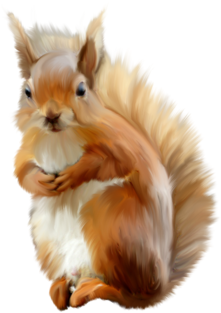 Fluffy Red Squirrel Artwork PNG with transparent background