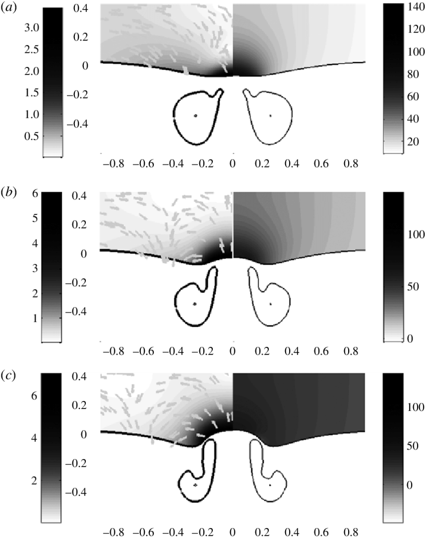 Fluid Dynamics Visualization Comparison