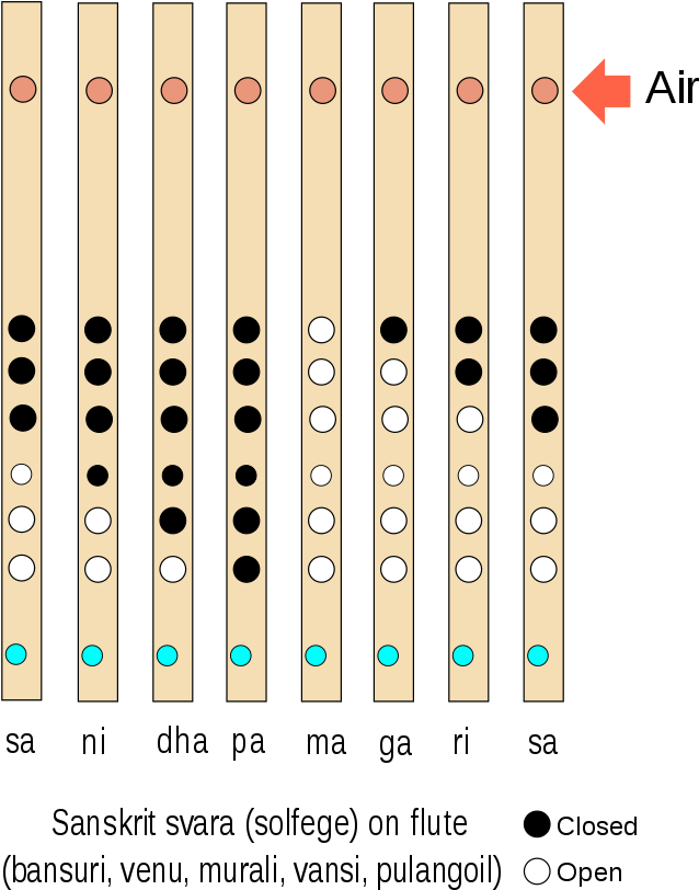 Flute Fingering Chart Sanskrit Svara PNG with transparent background