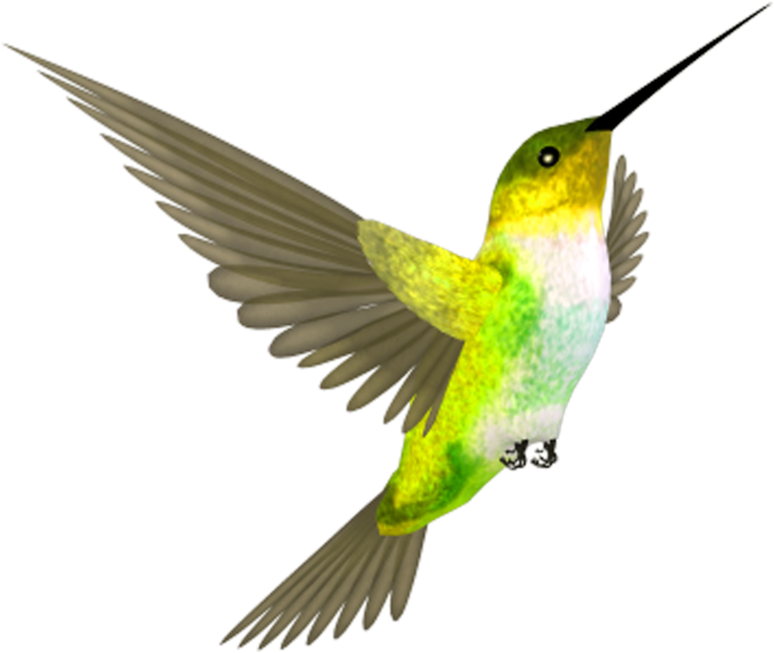 Fly Bird, HD Png Download PNG with transparent background