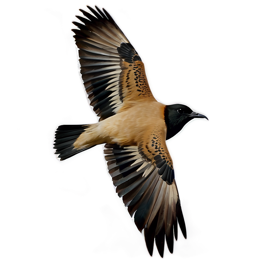 Flying Bird Transparent Png 05032024