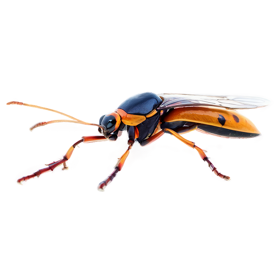 Flying Bug Png Vbr