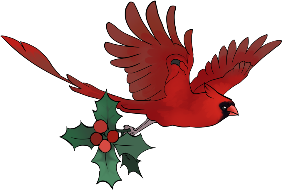 Cardinal Vector Flying - Cardinal Png, Transparent Png PNG with transparent background