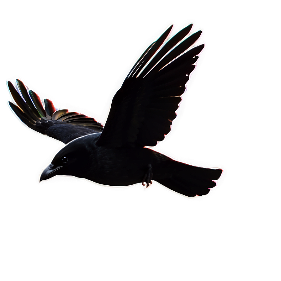 Flying Crow Png 05232024