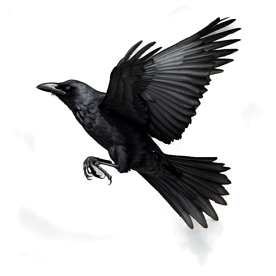 Flying Crow Png 70