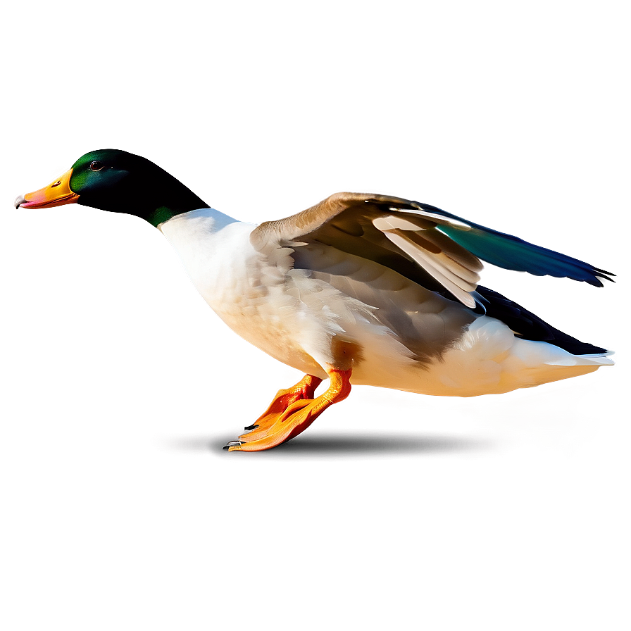 Flying Duck Silhouette PNG 05032024 PNG with transparent background