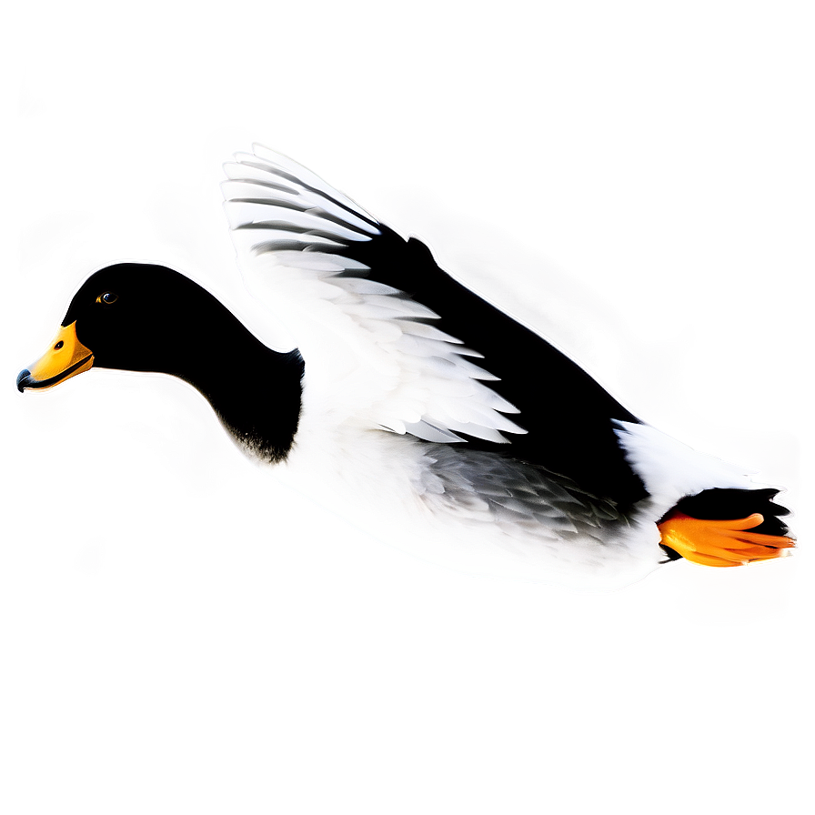 Flying Duck Silhouette PNG pau43 PNG with transparent background